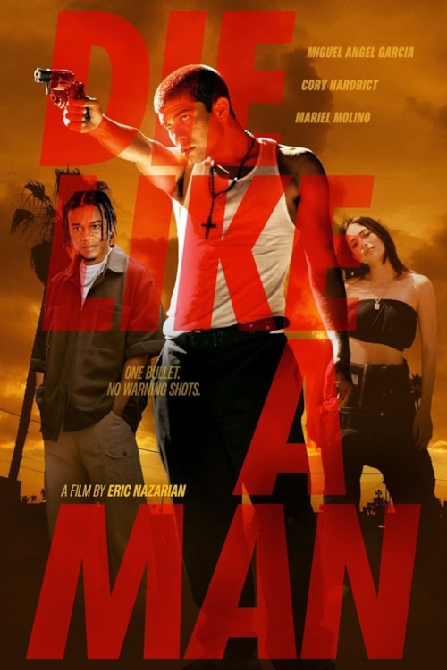 Die Like a Man poster